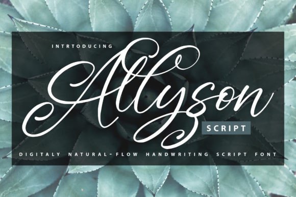 Allyson: Elevate Your Designs with Dazzling Script Font