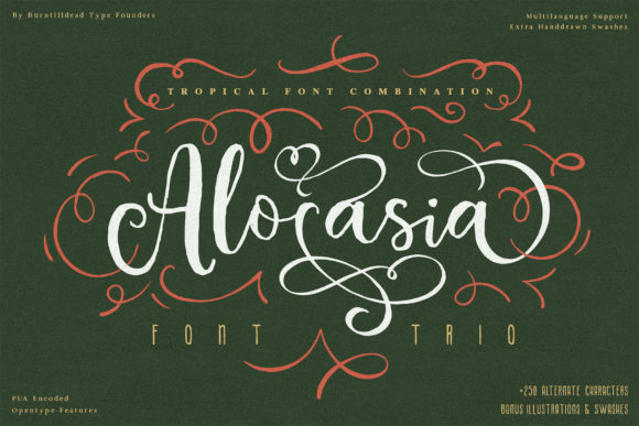 Alocasia: Elevating Modern Design with Typographic Versatility