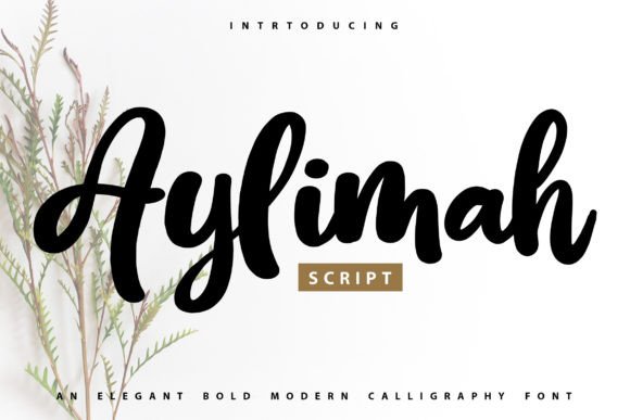 Aylimah: Elevate Your Design with Bold Calligraphy