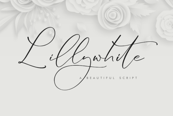 Lillywhite: A Modern Script for Elegant Design