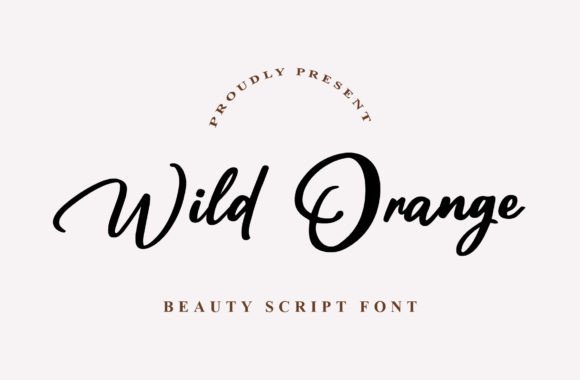 Wild Orange: A Modern Script Font for Elegant Design